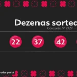 Resultado da Quina Concurso 7129: prêmio acumula em R$ 12,5 milhões