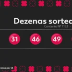 Resultado da Quina 7133: Saiba os números sorteados e o valor acumulado para o próximo concurso